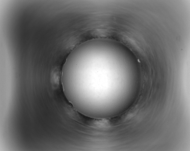 X0000096670576200802121154