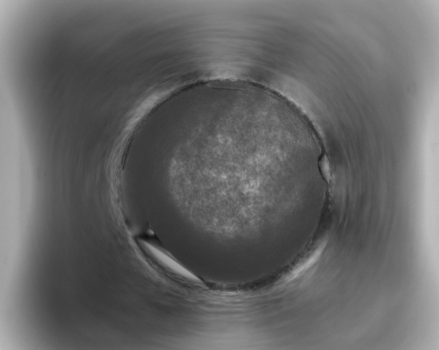 X0000096670577200802121153