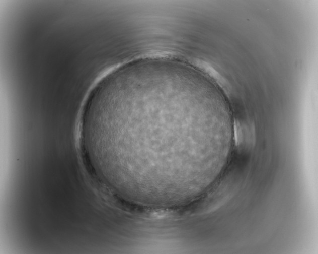 X0000096670579200802121153