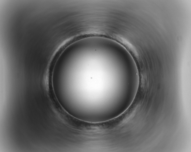 X0000096670580200802121153