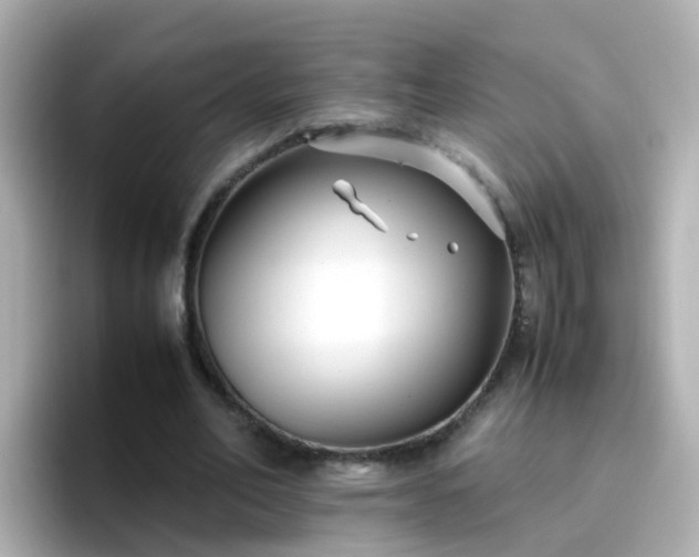 X0000096670582200802121153