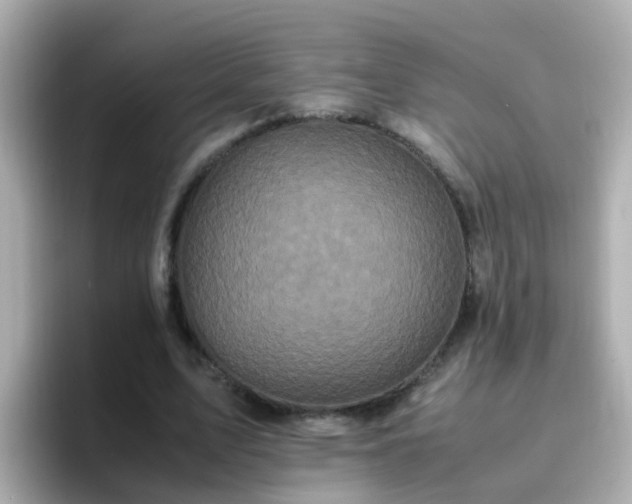 X0000096670583200802121153