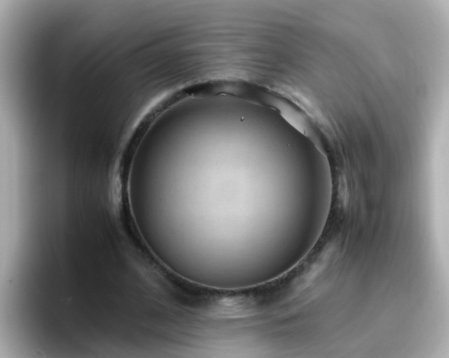 X0000096670584200802121153