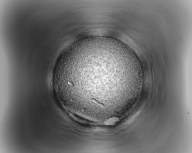 X0000096670585200802121153