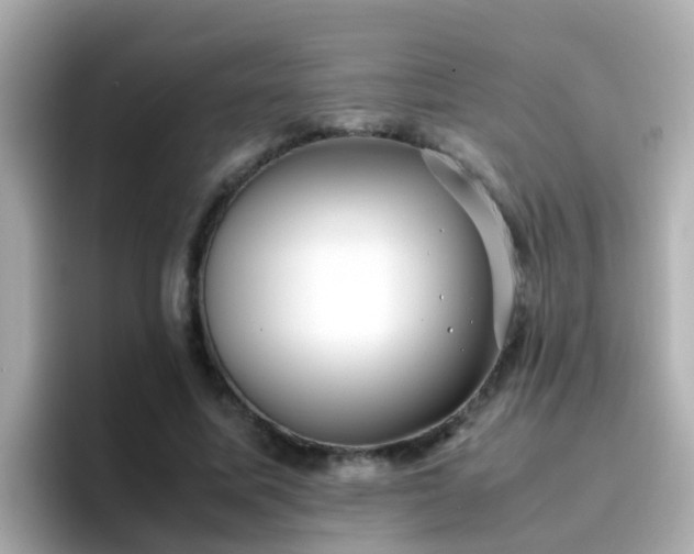 X0000096670587200802121153