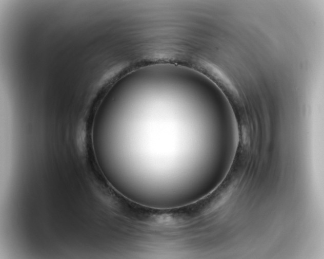 X0000096670588200802121153
