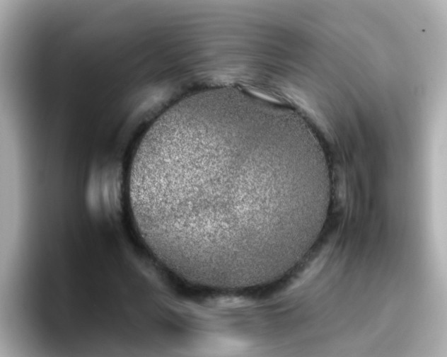 X0000096670590200802121153