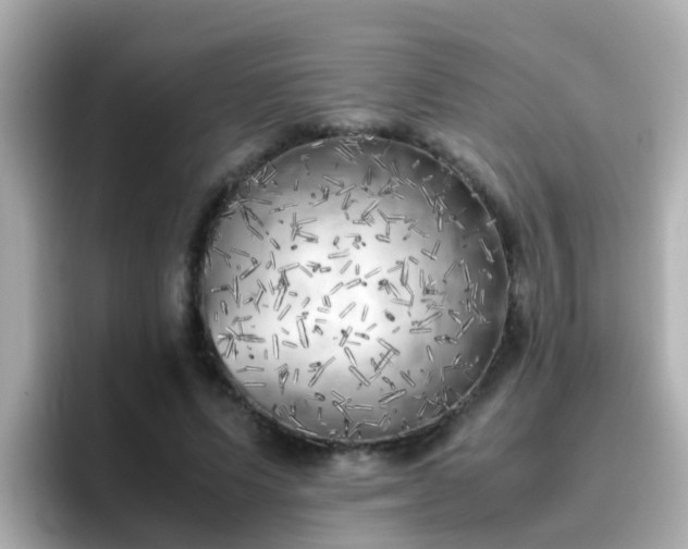 X0000096670591200802121153