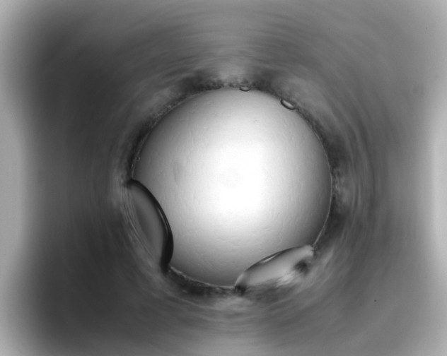 X0000096670593200802121153