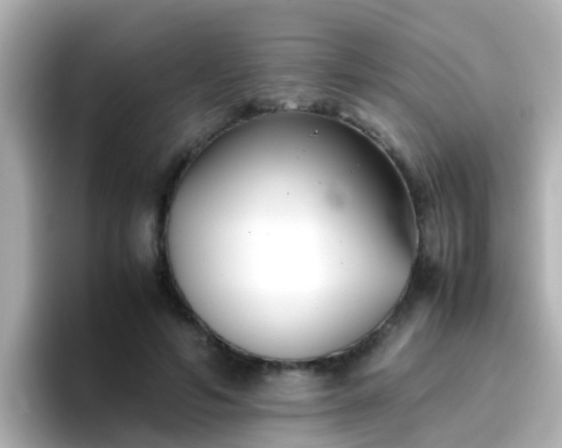 X0000096670594200802121153