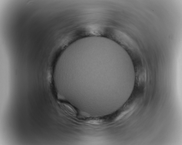 X0000096670595200802121153
