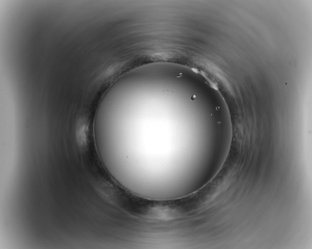 X0000096670596200802121153