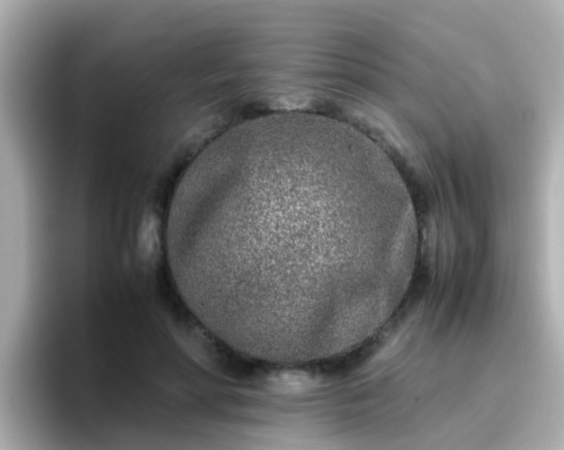 X0000096670598200802121153