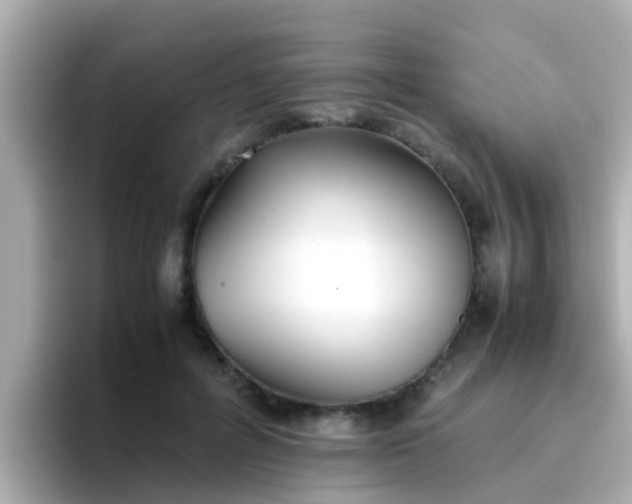 X0000096670600200802121153
