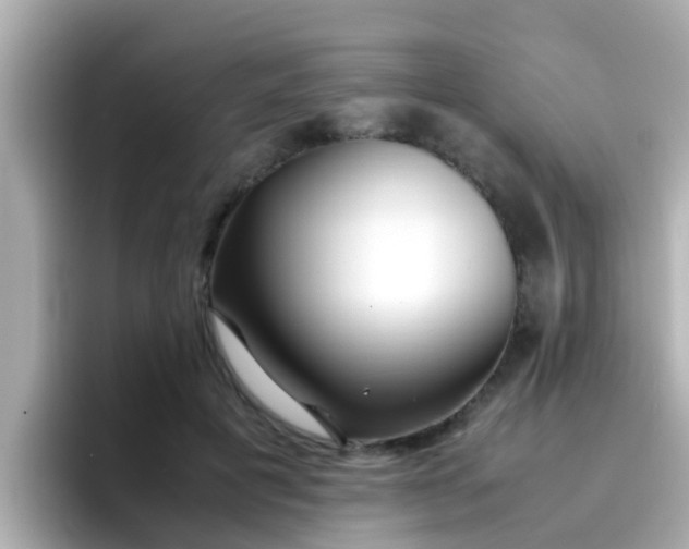 X0000096670601200802121153