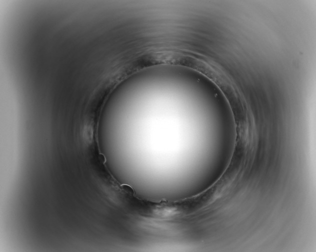 X0000096670602200802121153