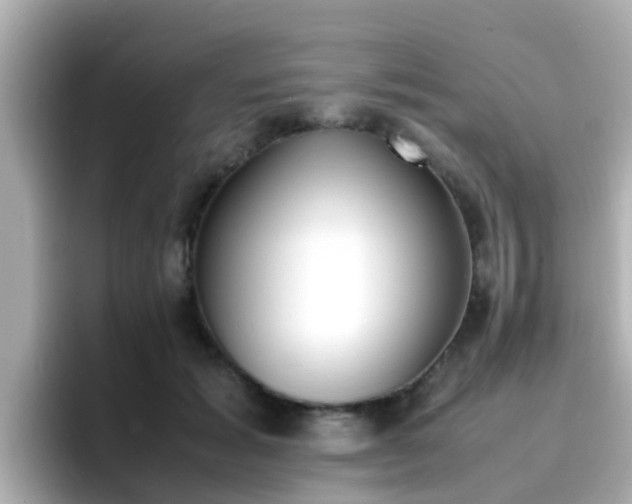 X0000096670605200802121153