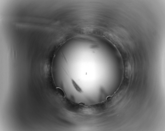 X0000096670608200802121153