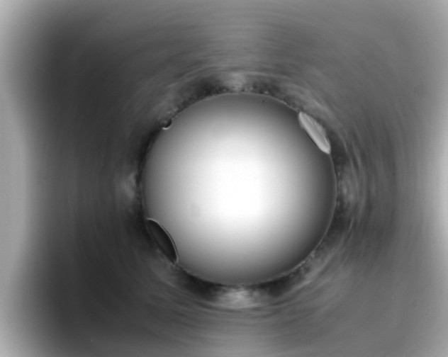X0000096670611200802121152