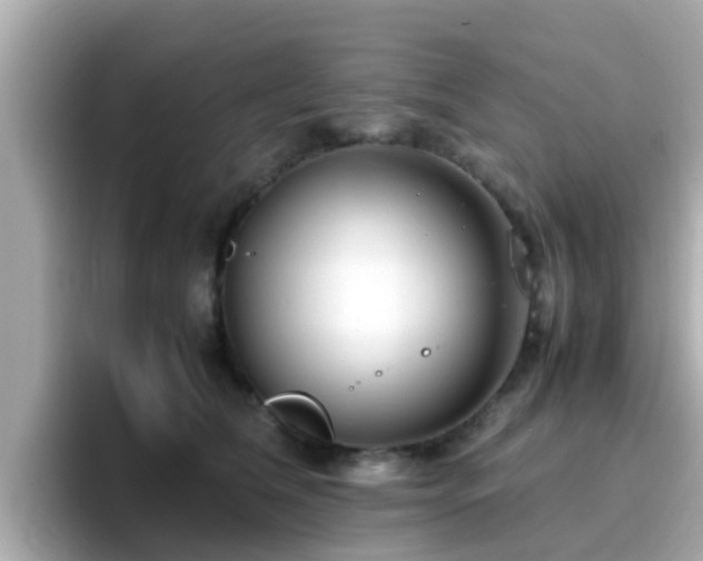 X0000096670612200802121152