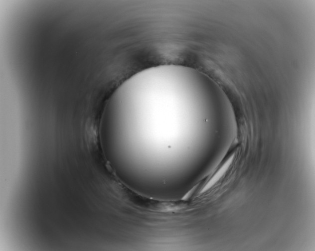 X0000096670613200802121152