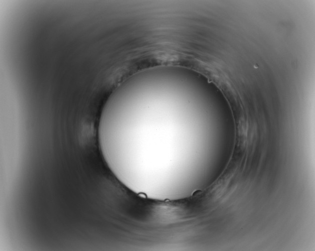 X0000096670614200802121152