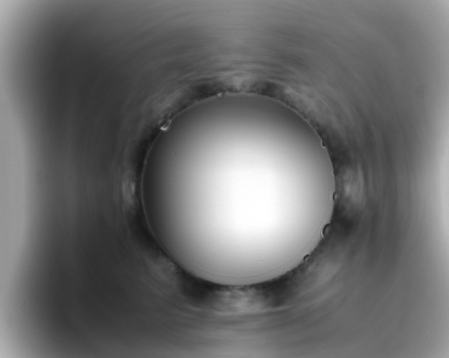 X0000096670615200802121152