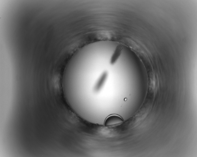 X0000096670616200802121152