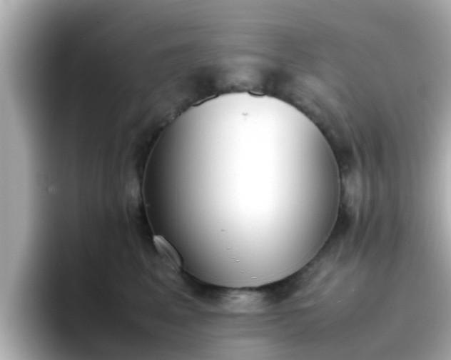 X0000096670617200802121152