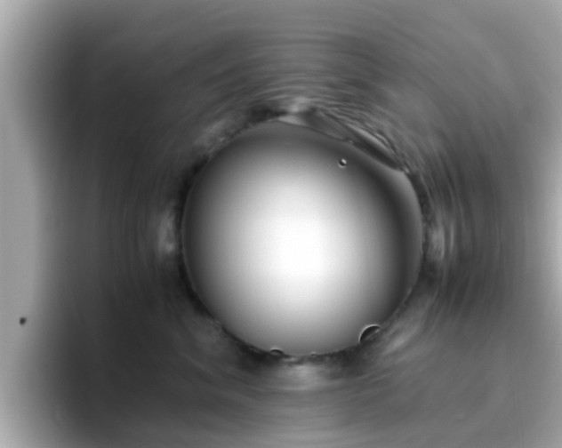 X0000096670620200802121152