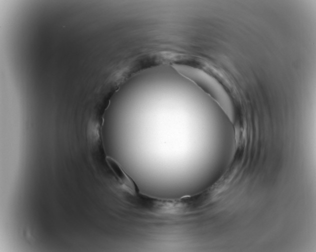 X0000096670621200802121152