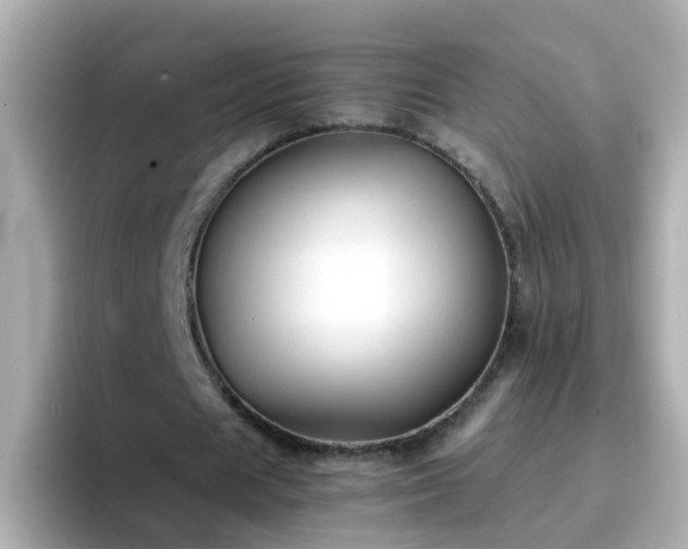 X0000096670625200802121152