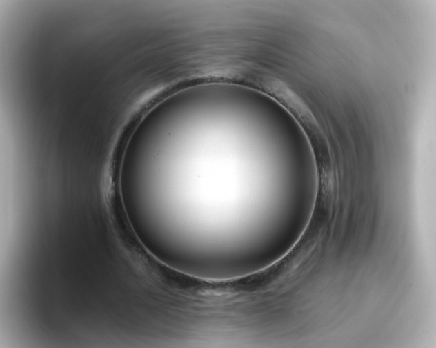 X0000096670628200802121152