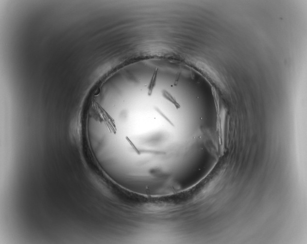 X0000096670630200802121152