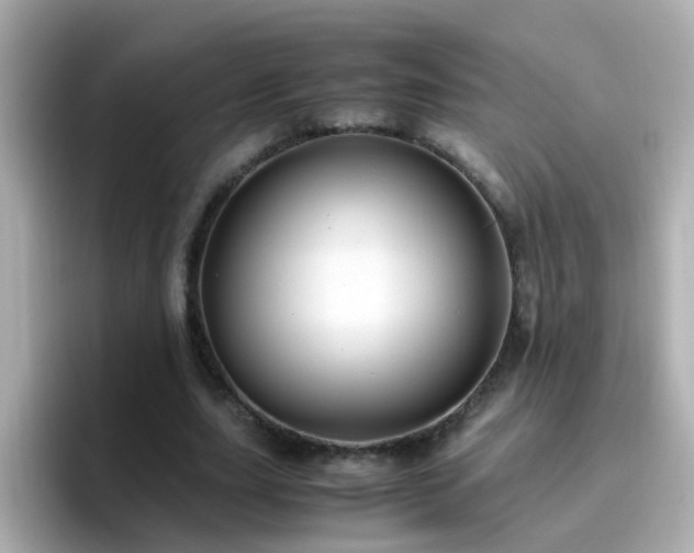 X0000096670631200802121152