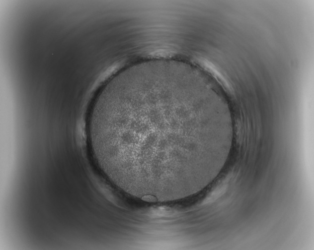 X0000096670634200802121152