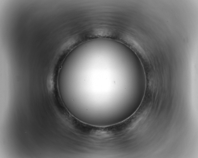 X0000096670635200802121152