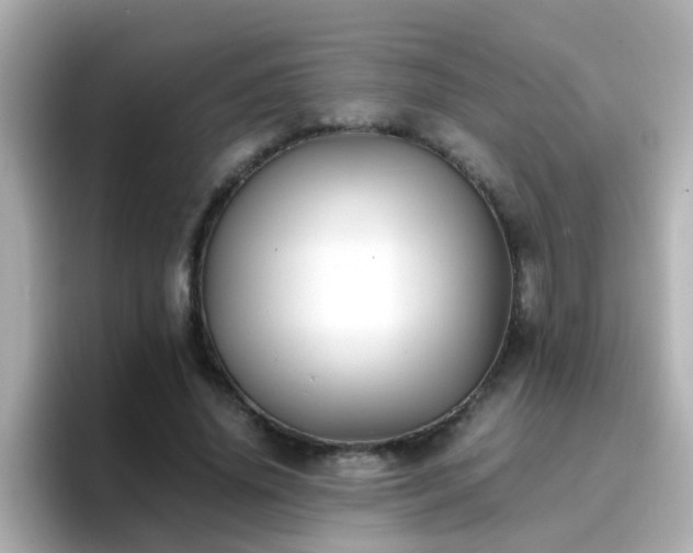 X0000096670636200802121152