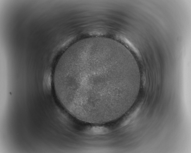 X0000096670637200802121152