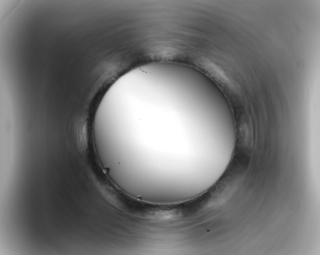 X0000096670638200802121152