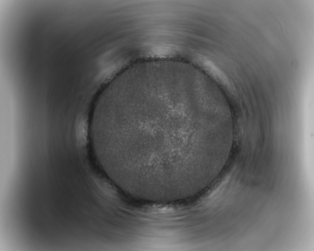 X0000096670640200802121152