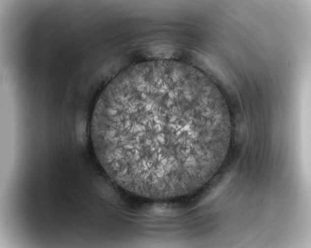 X0000096670641200802121152