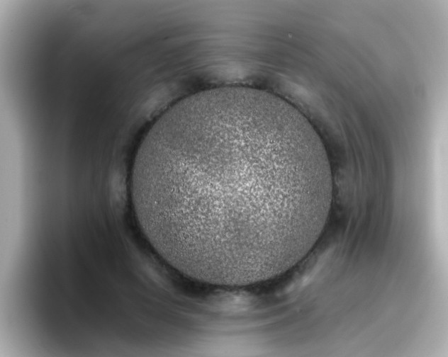 X0000096670642200802121152