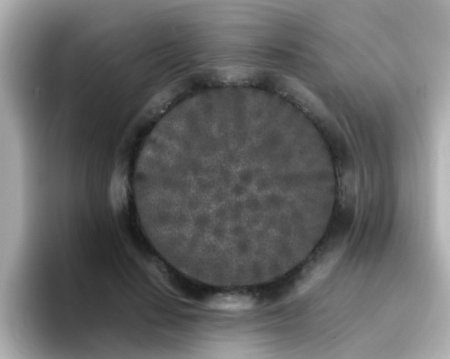 X0000096670644200802121152