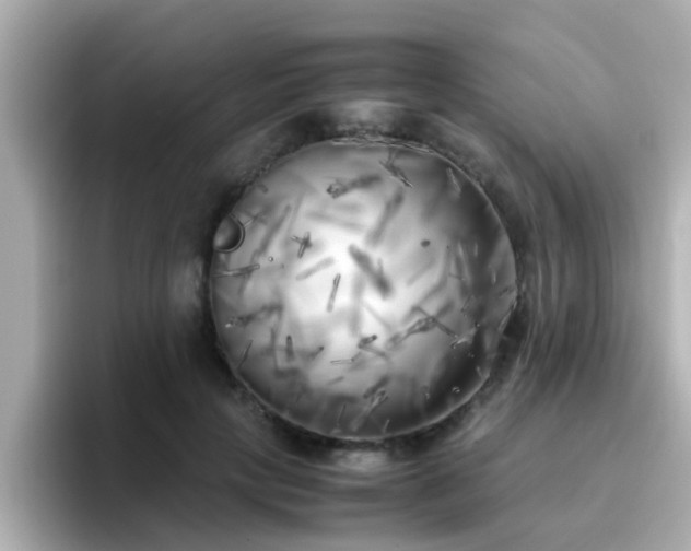 X0000096670649200802121152