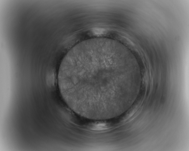 X0000096670651200802121152