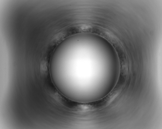 X0000096670654200802121152