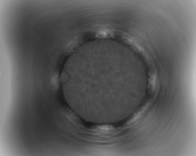 X0000096670659200802121152