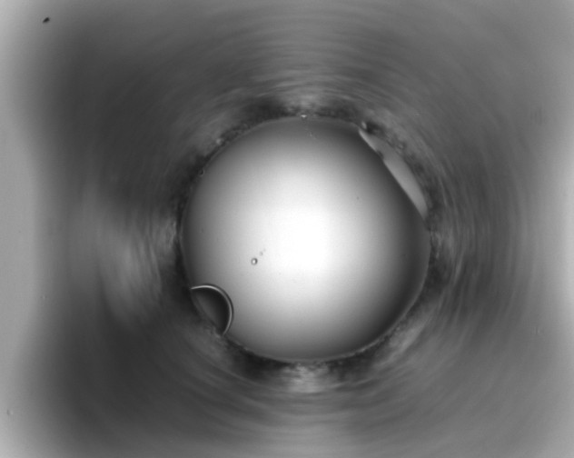 X0000096670660200802121152