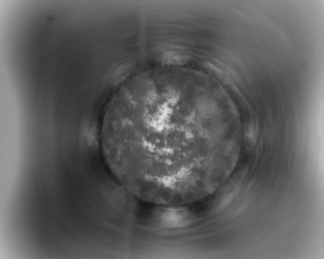 X0000096670663200802121152